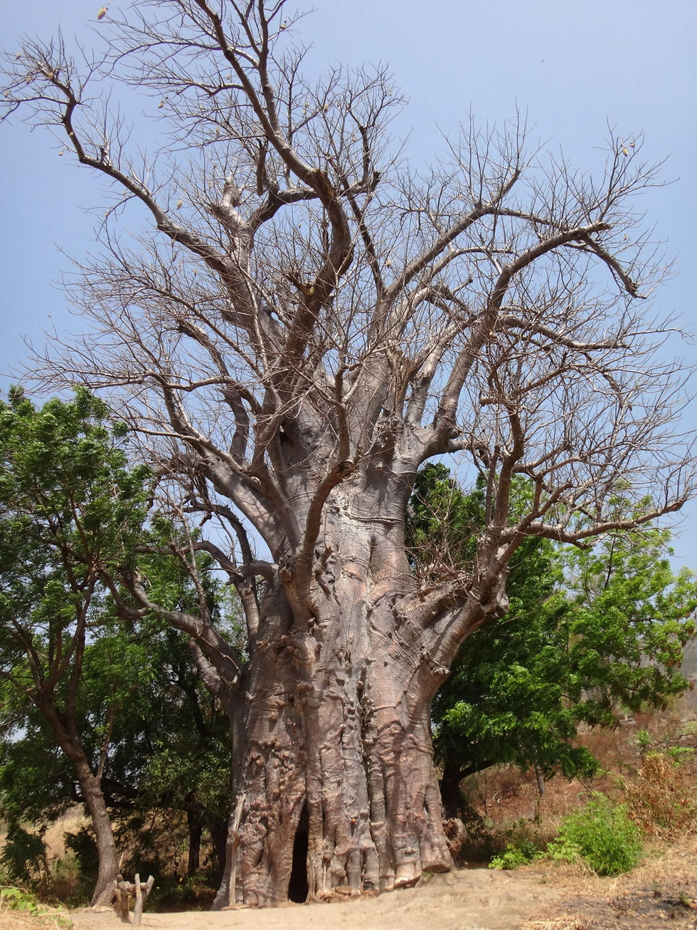 Togo - North