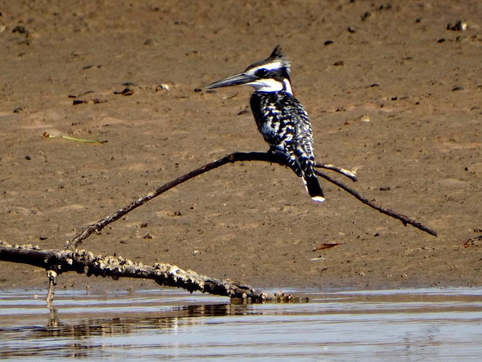 Senegal - Sine-Saloum Delta