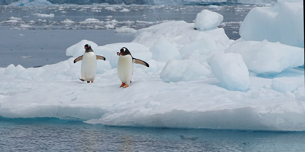 Antarctica - Paradise Harbor