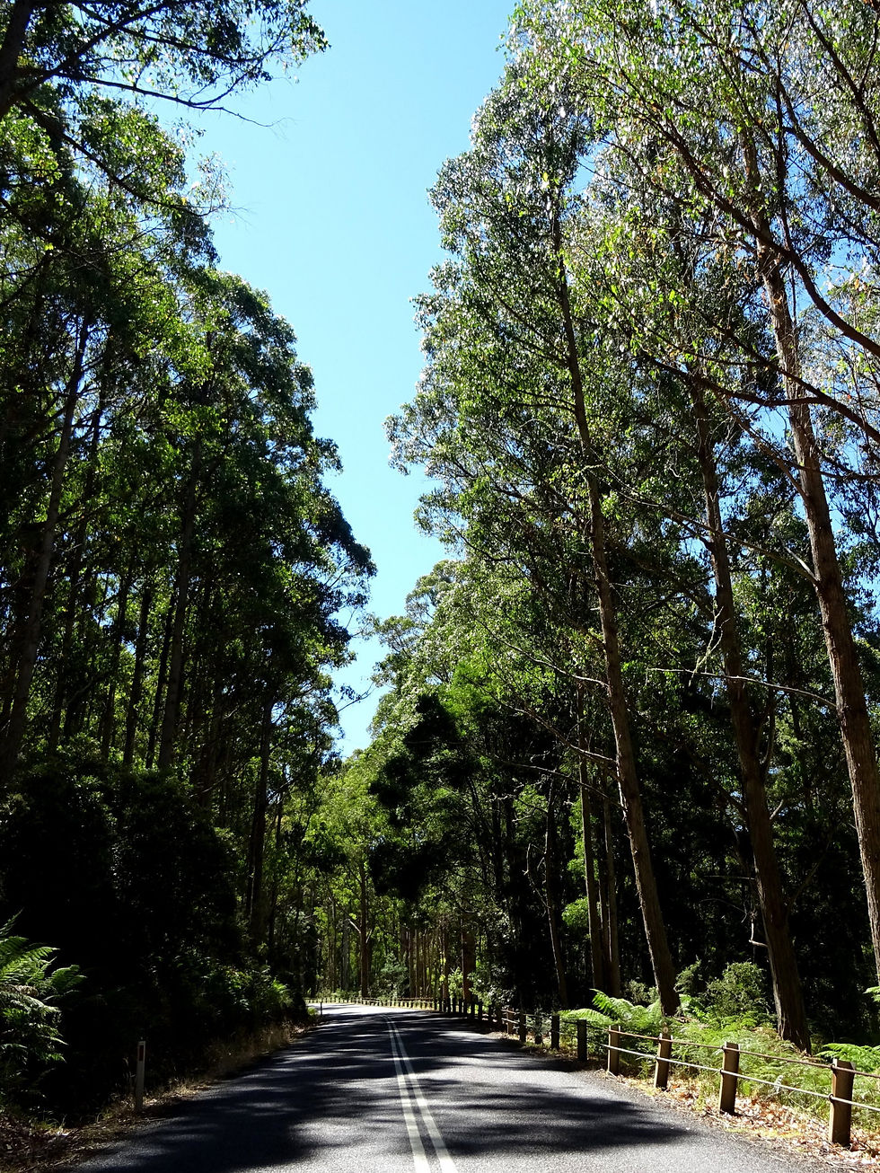 Australia - Tasmania - Highlands