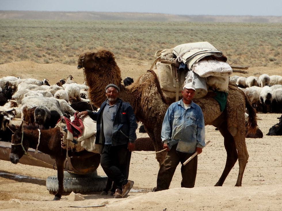 Turkmenistan - Karakum Desert
