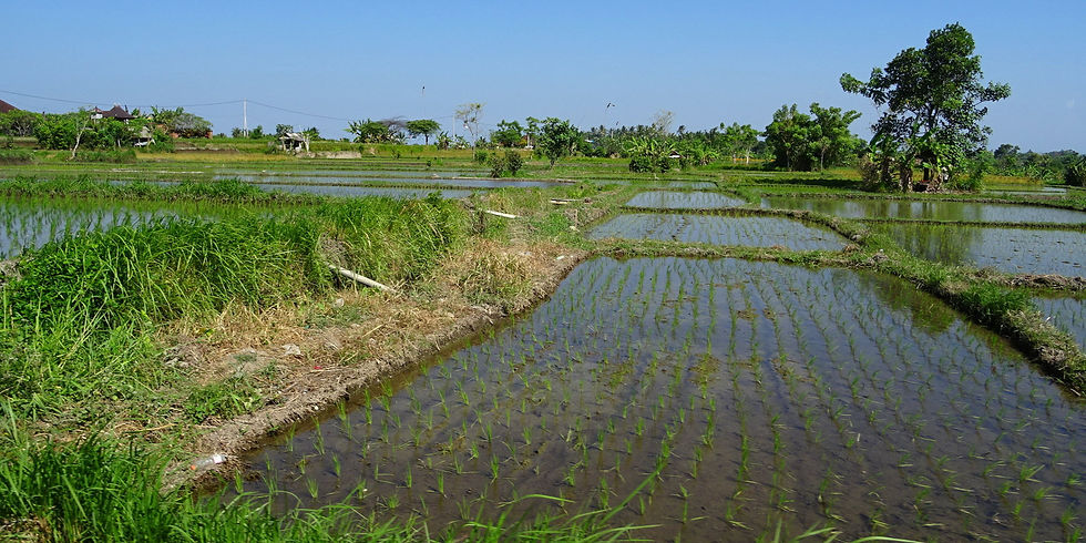 Indonesia - Bali