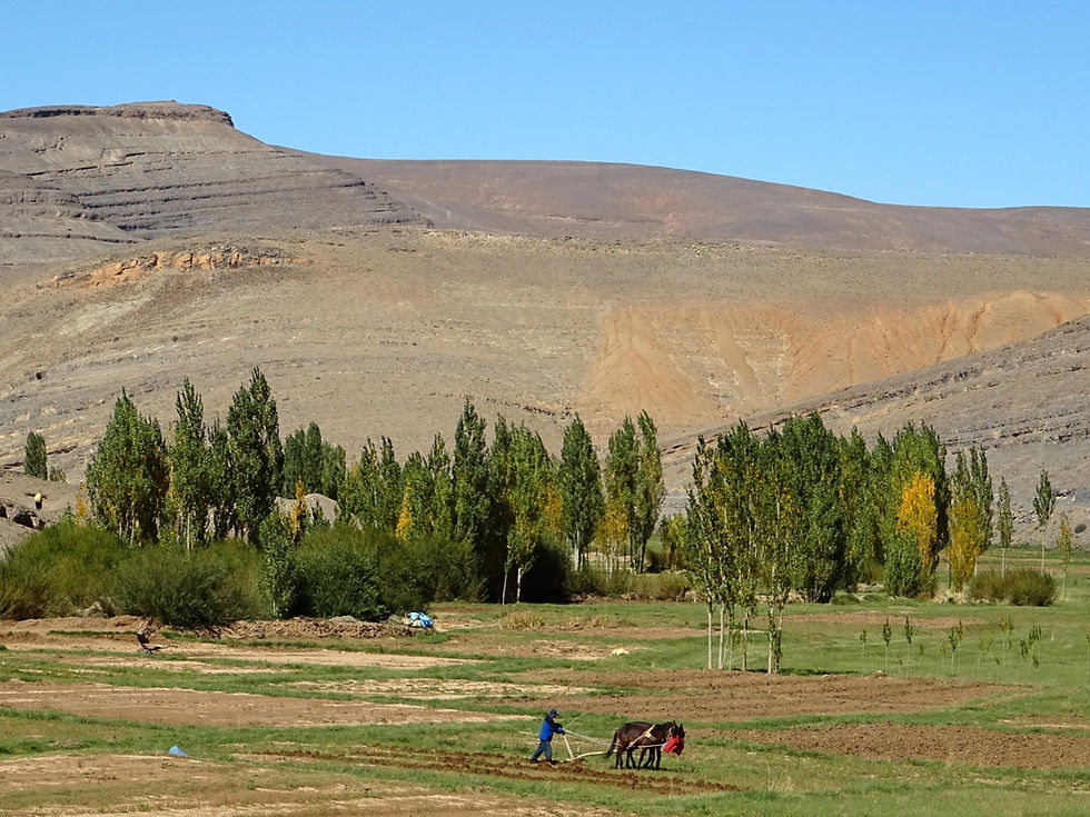 Morocco - Atlas Mountains