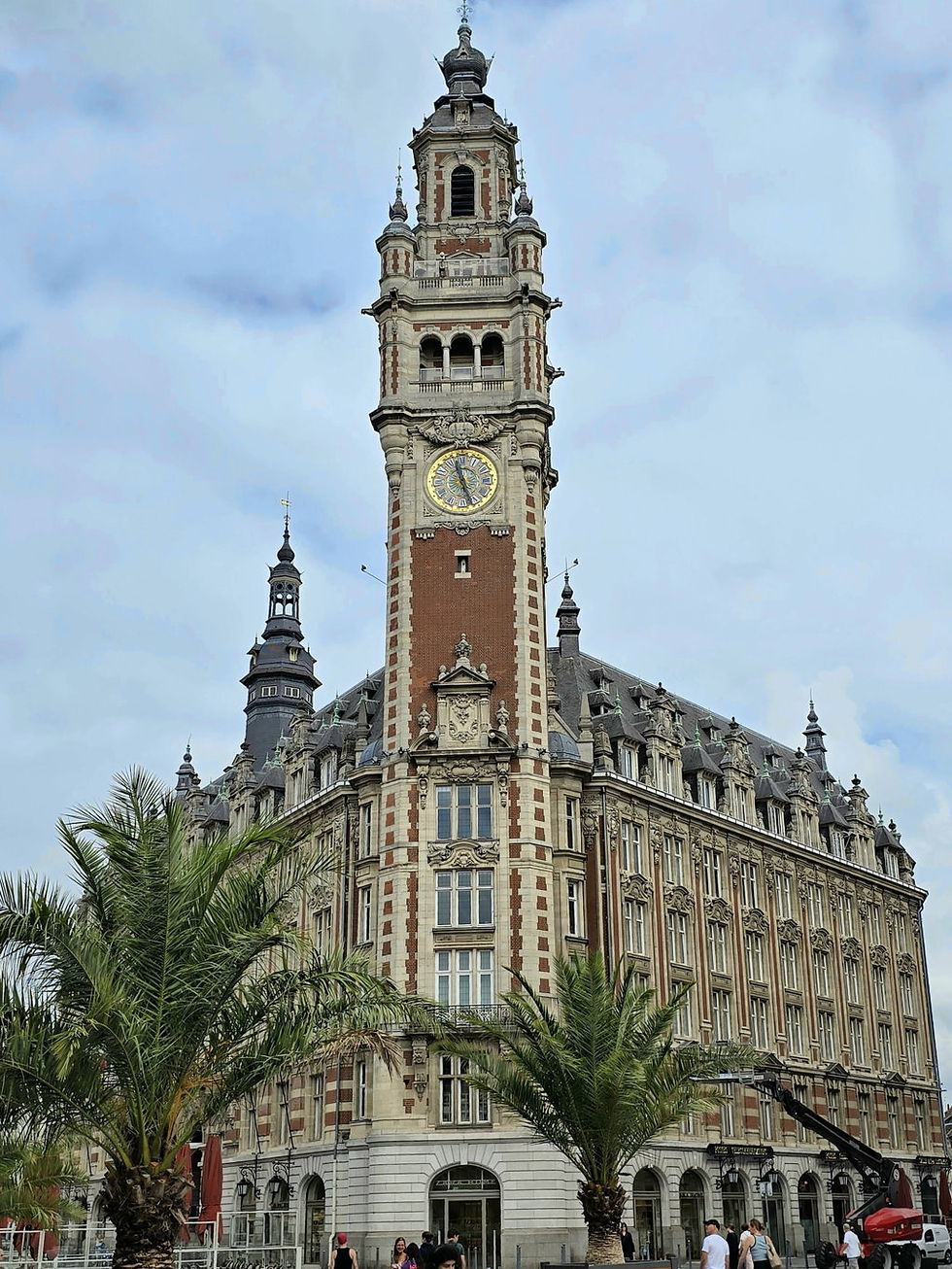 France - Lille1048- Vieux Lille