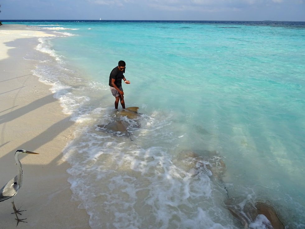Maldives