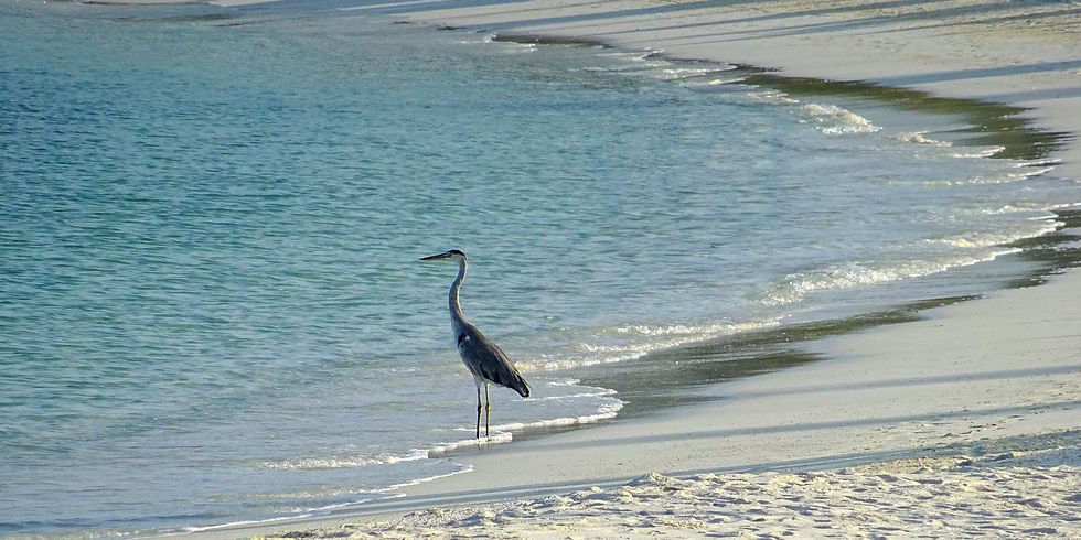 Maldives
