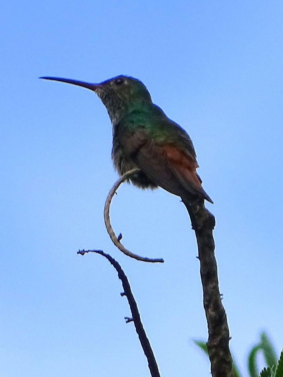 Costa Rica - Limon Province