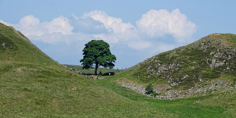 UK - England - Northumberland