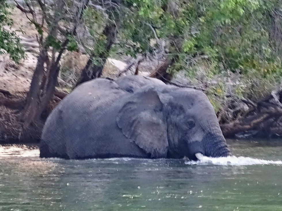 Zimbabwe