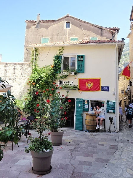 Kotor