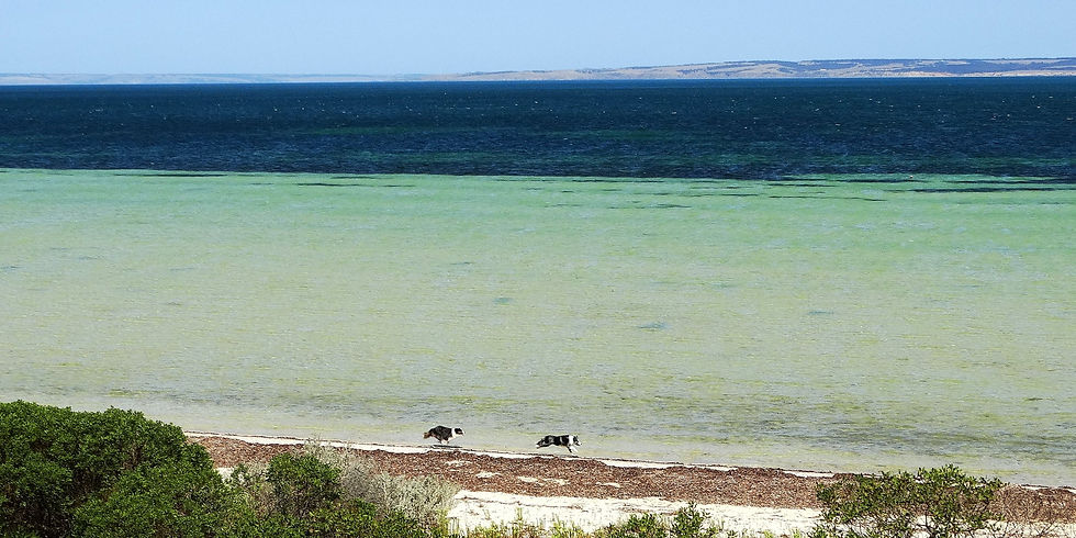 Australia - Kangaroo Island