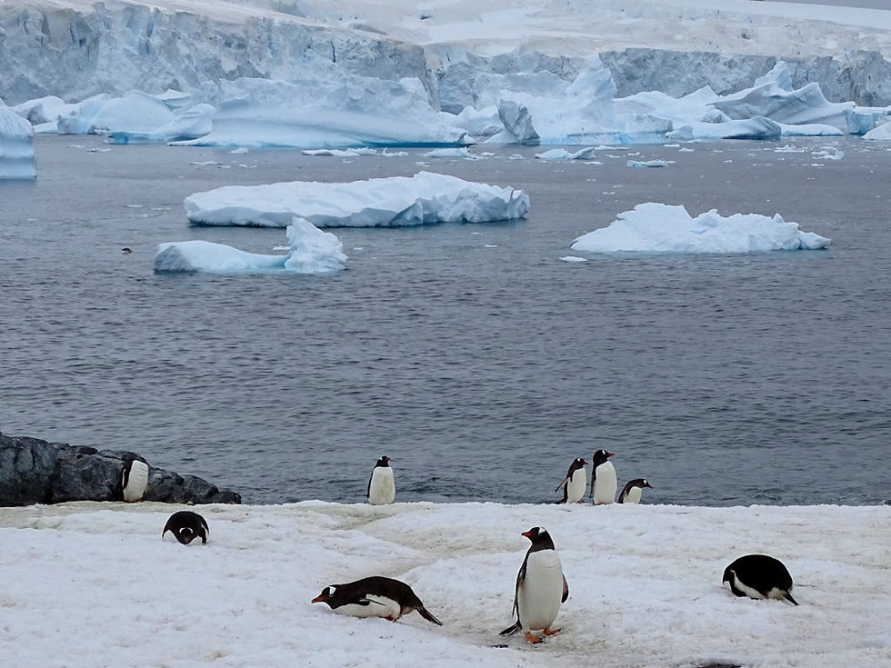 Antarctica - Peninsula