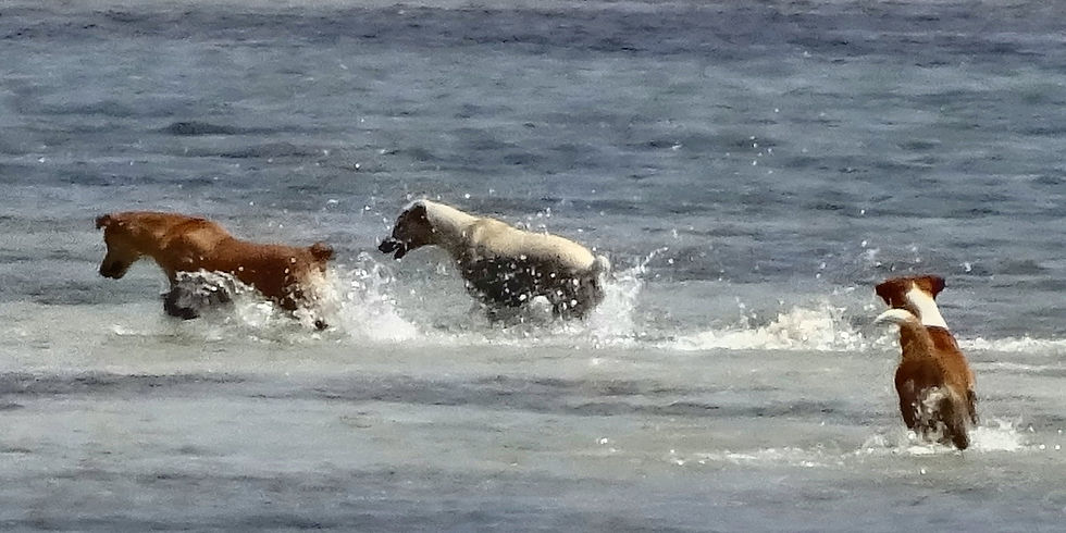 Fiji - Mamanuca islands
