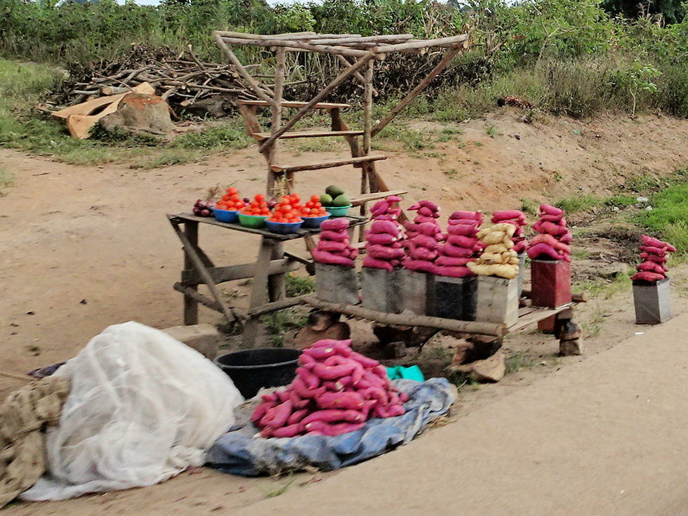Uganda - Highlands