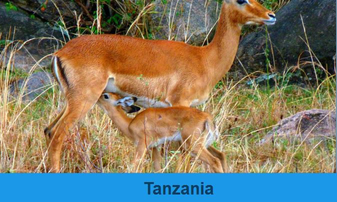 Tanzania
