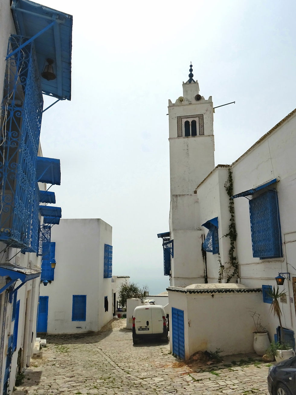 Tunisia - around Tunis