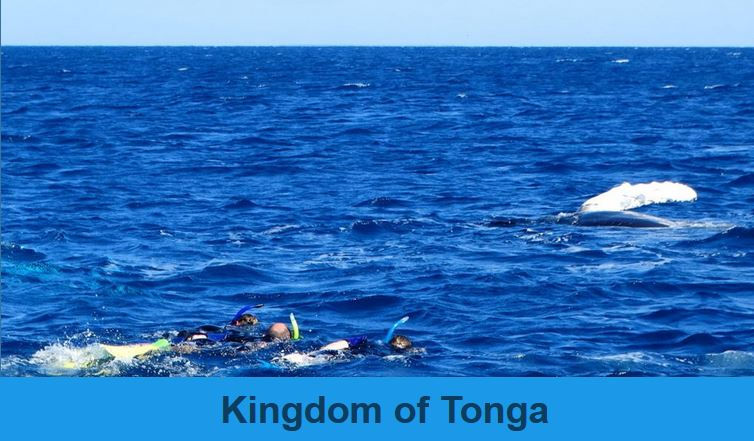 Tonga ( Kingdom of Tonga)