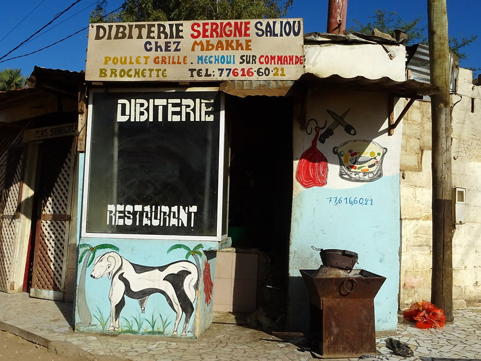 Senegal - la Petite Côte