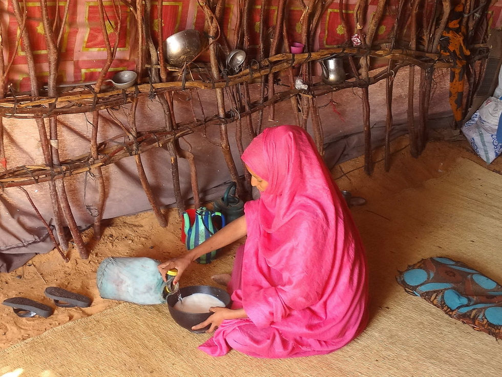 Mauritania - Sahara - Adrar