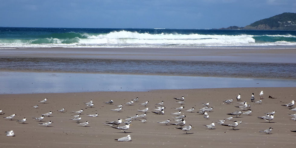Australia - Gold Coast