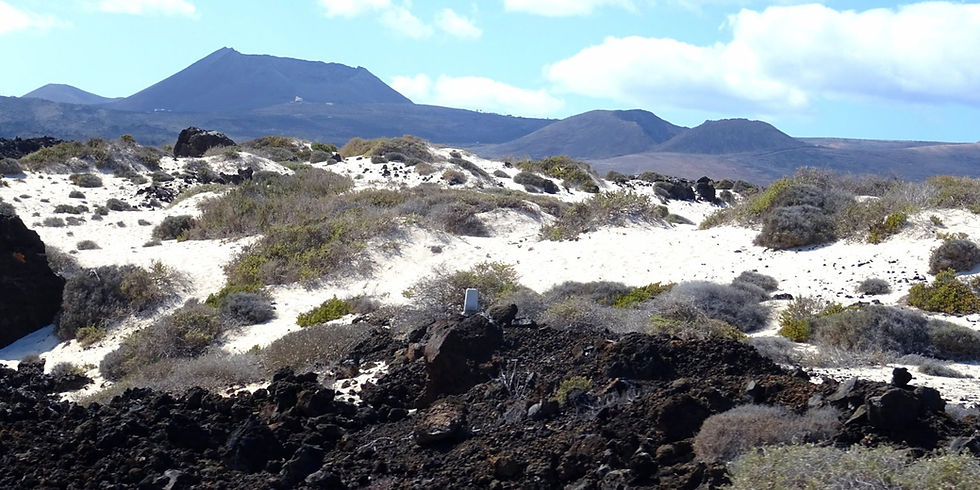 Spain - Canary islands - Lanzarote