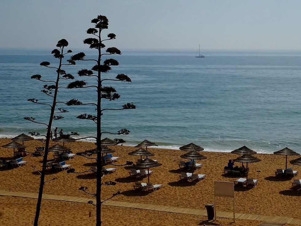 Portugal - Algarve - Albufeira