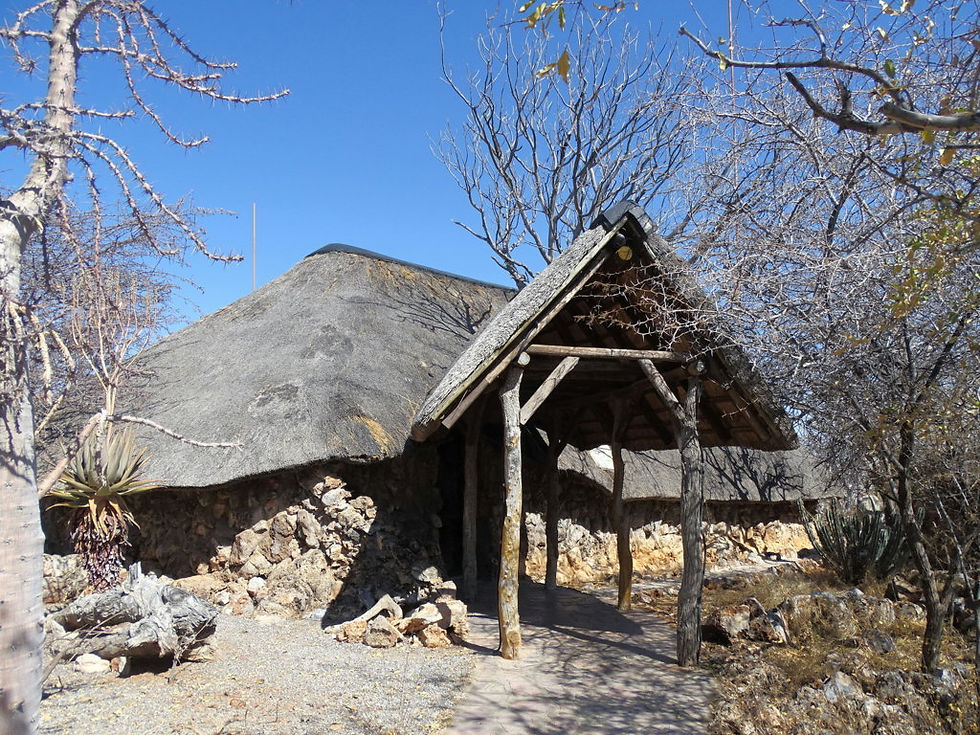 Namibia - Etosha 56062- ONGAVA LODGE