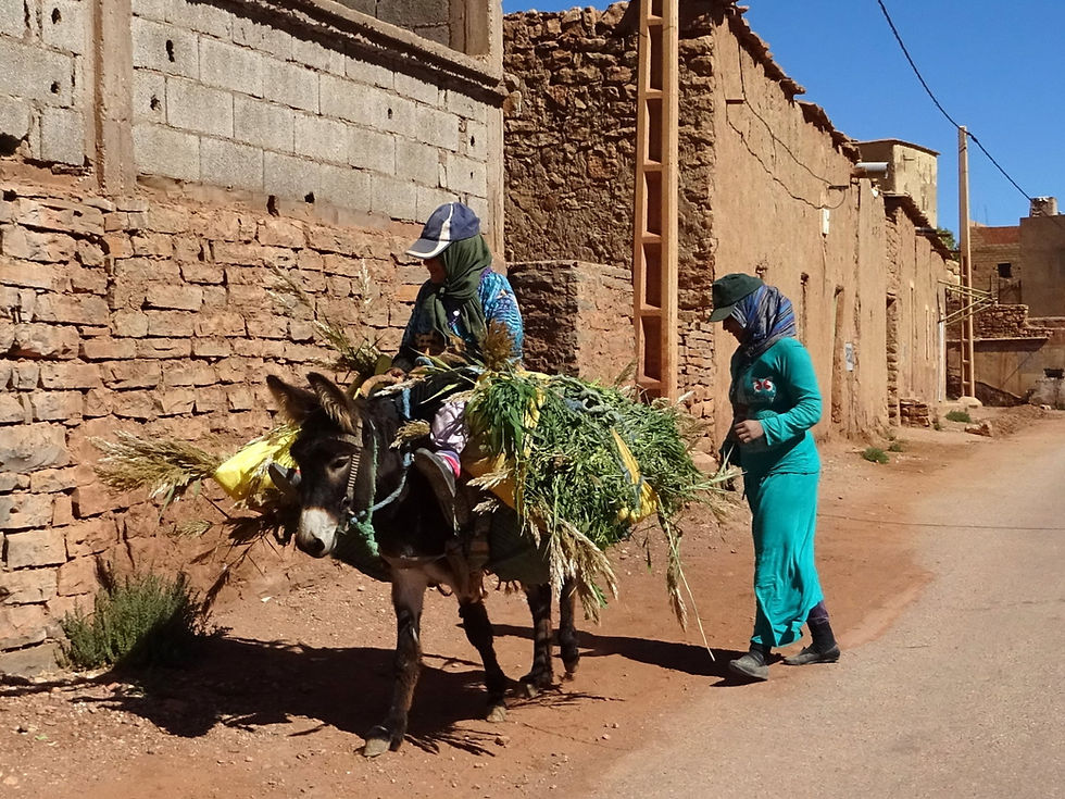 Morocco - Atlas Mountains
