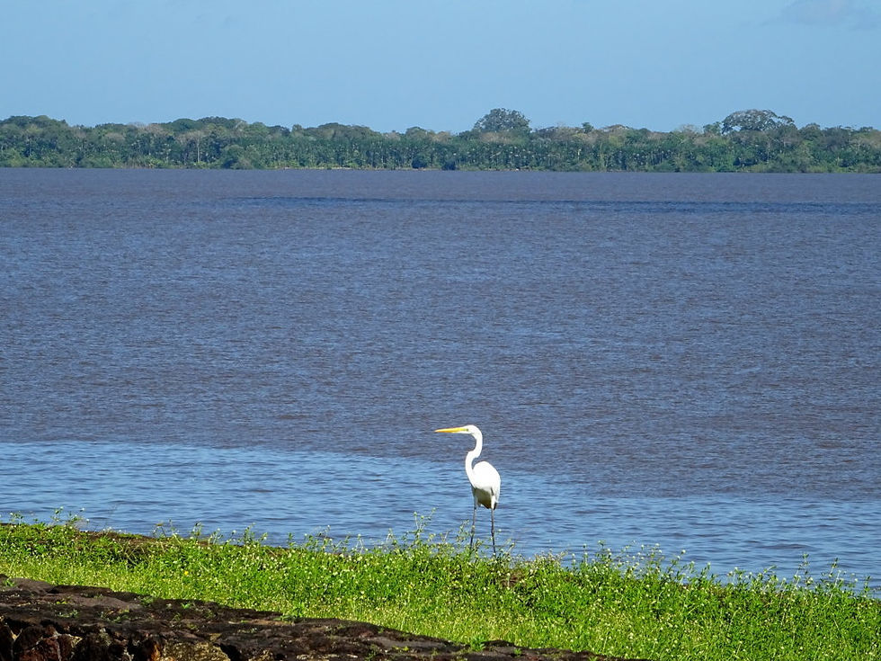 Brazil - Belem