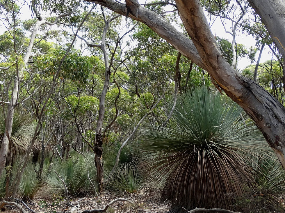 Australia - Kangaroo Island