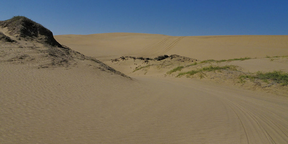 Naukluft Park - Sandwich Bay