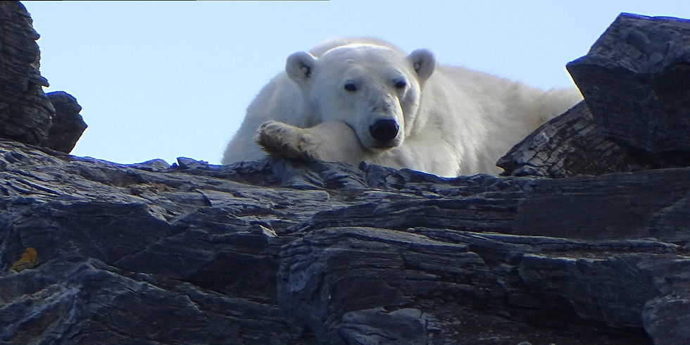 Norway - Svalbard