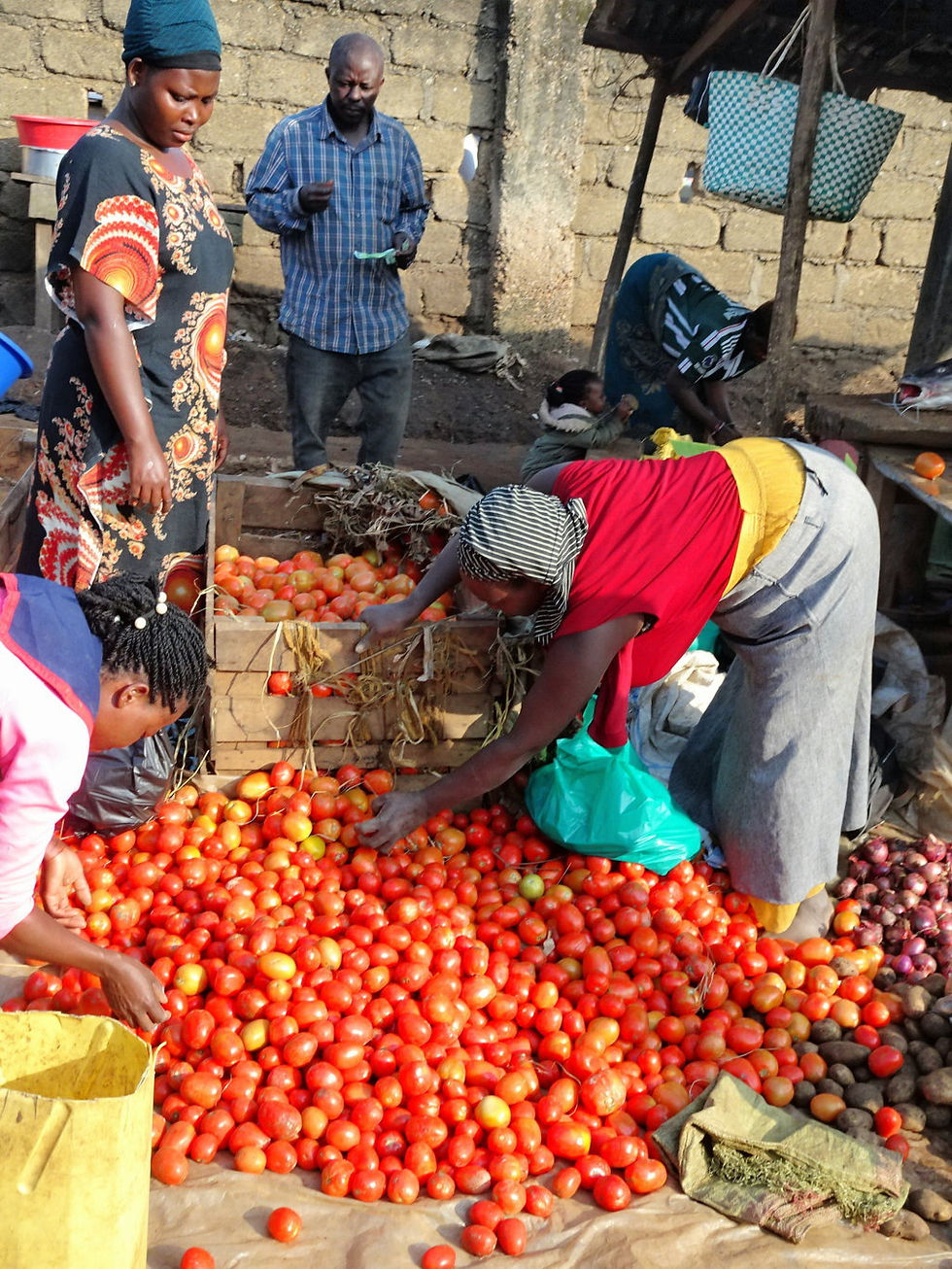 Uganda - Highlands