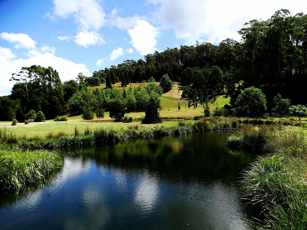 Australia - Tasmania - North Coast