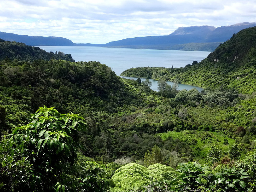 New Zealand - North Island