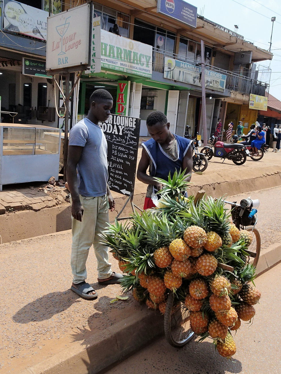 Uganda - Highlands