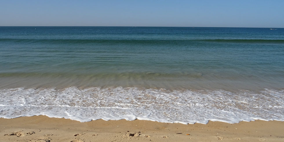Senegal - la Petite Côte