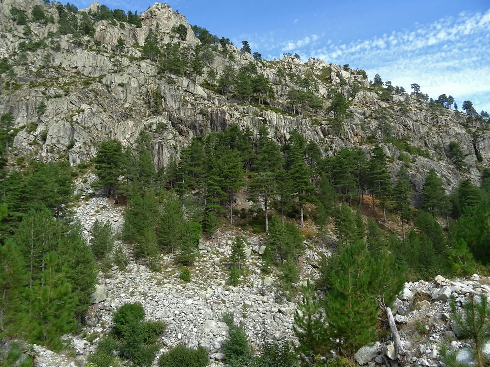 France - Corsica - around Corte
