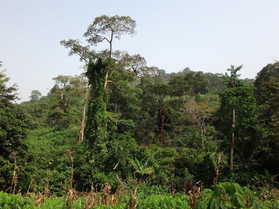 Togo