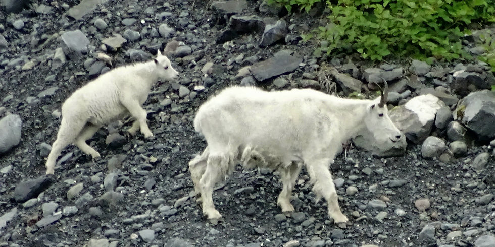 USA - Alaska