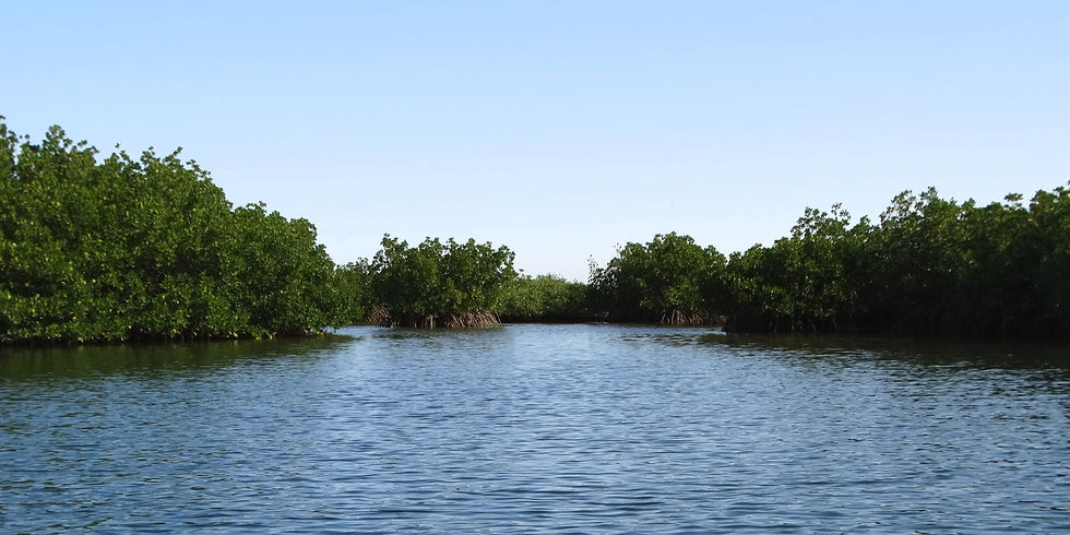 Senegal - Sine-Saloum Delta