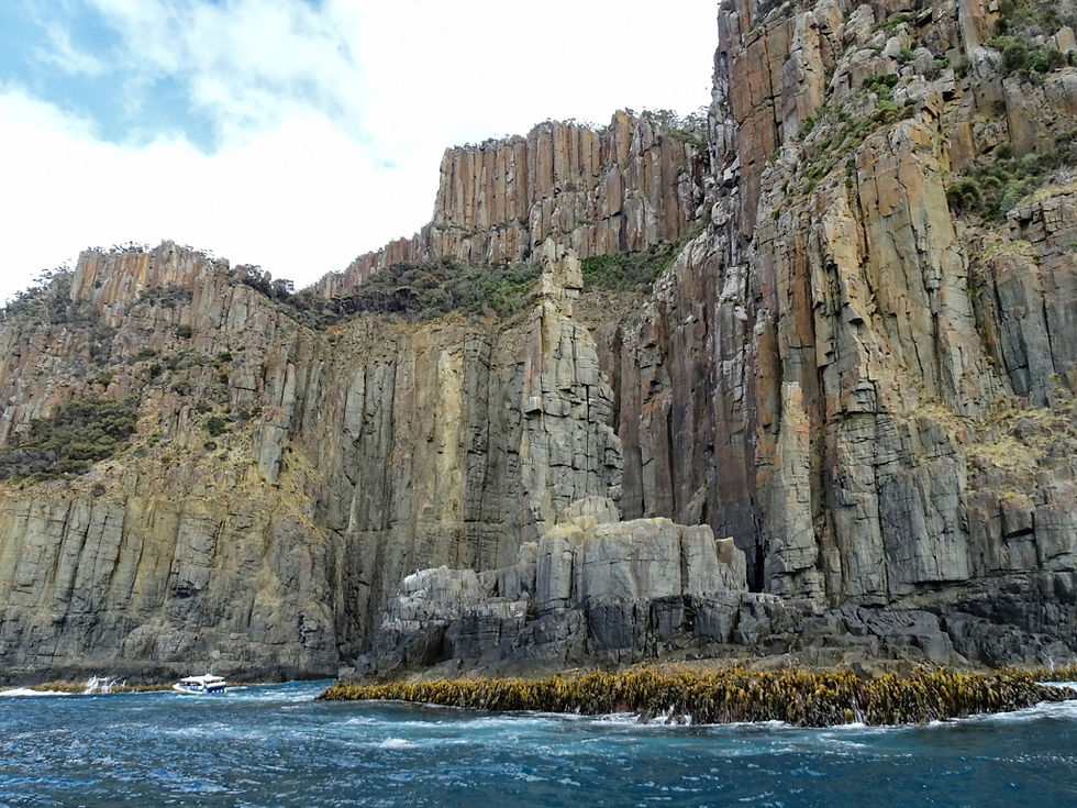 alia - Tasmania - Bruny island