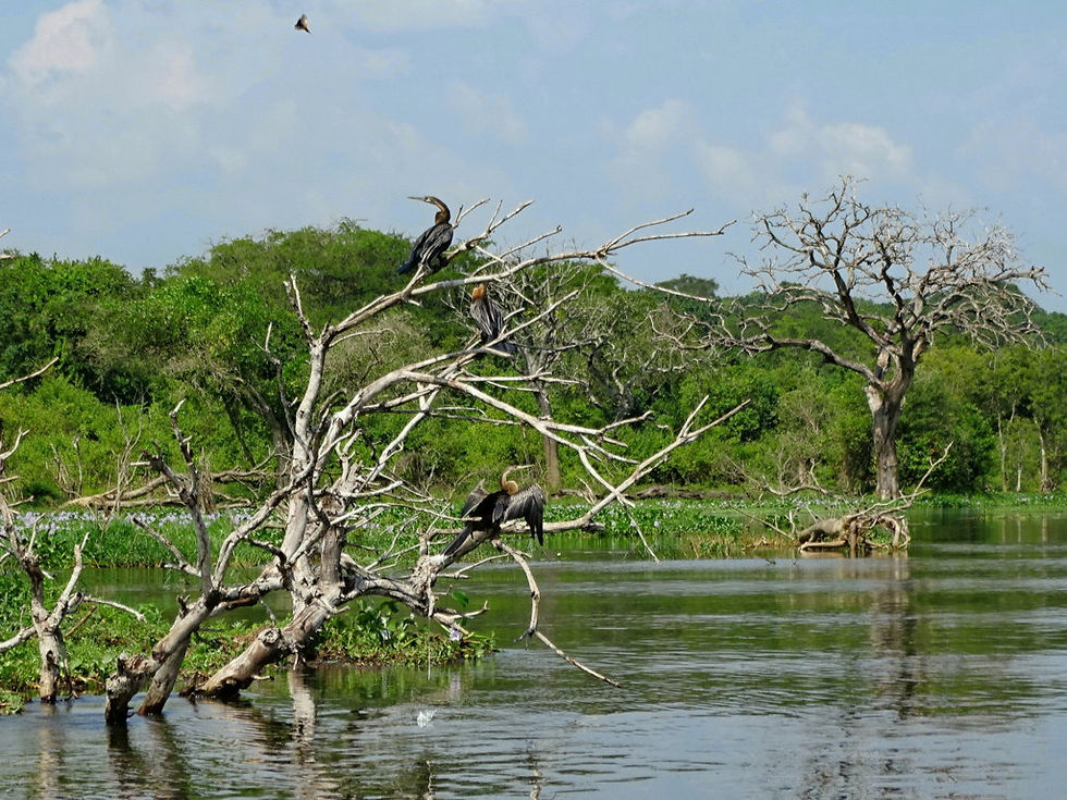 Uganda - Murchison Falls NP