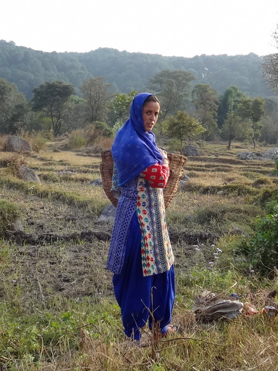 India - Himachal Pradesh