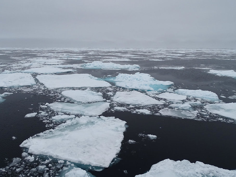 Norway - Svalbard