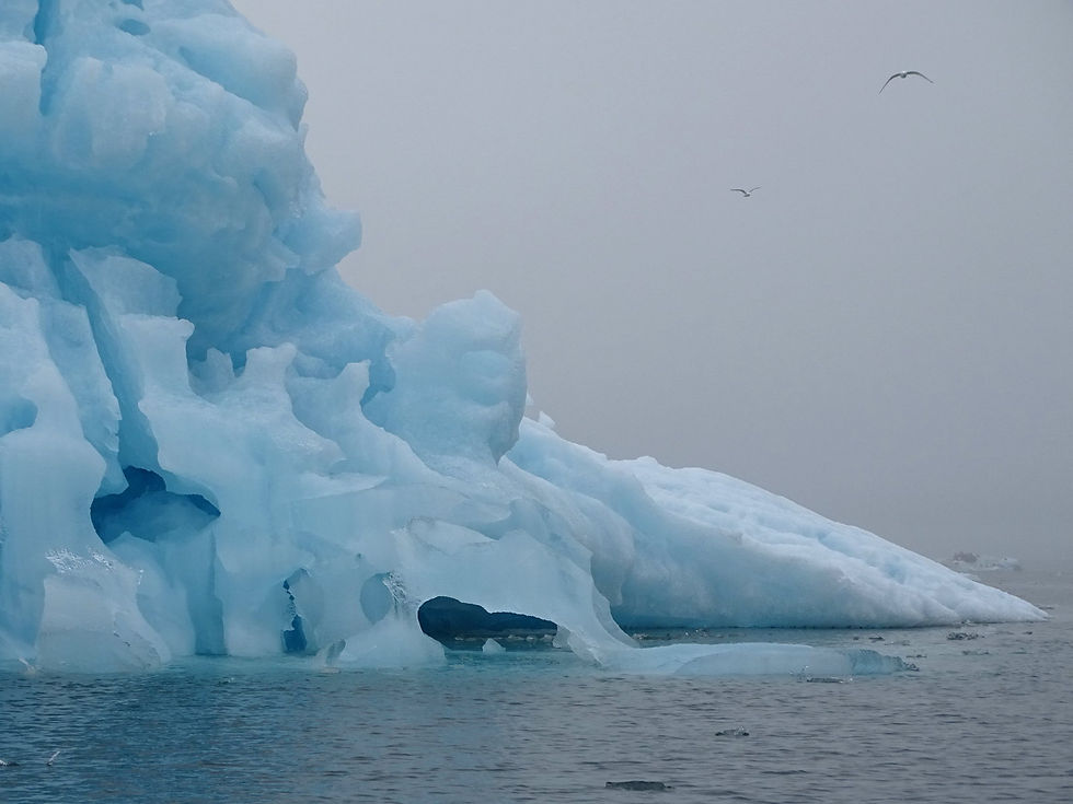 Norway - Svalbard