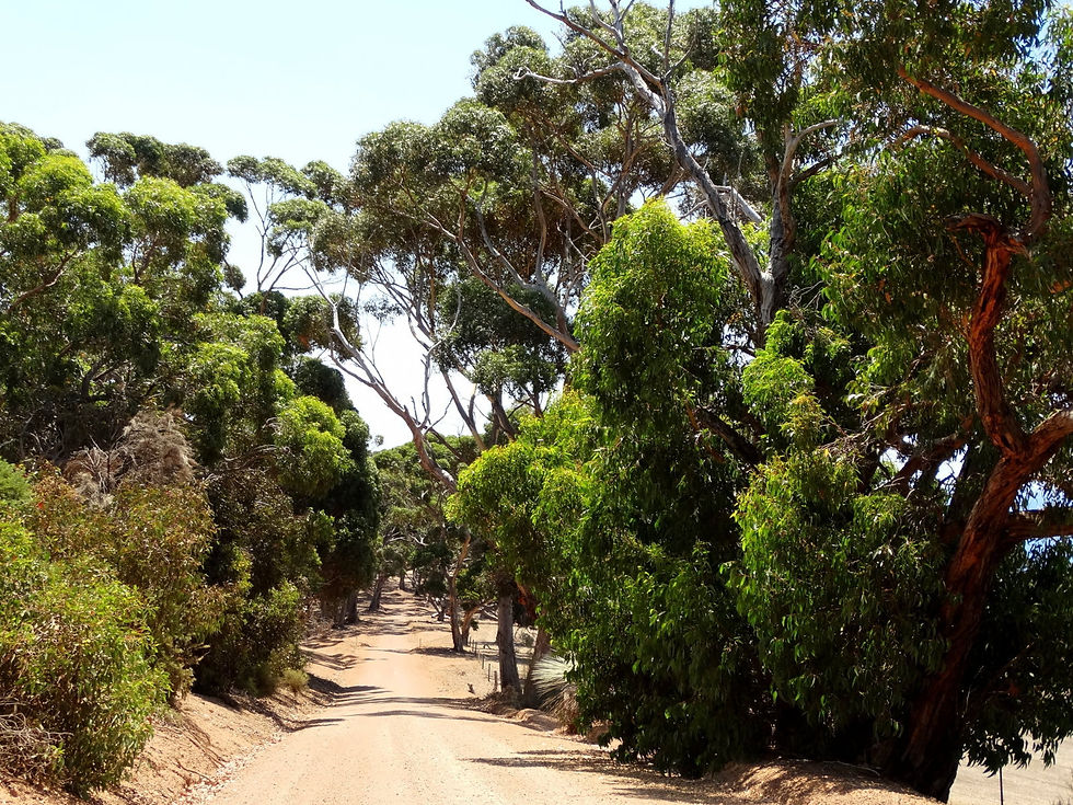 Australia - Kangaroo Island