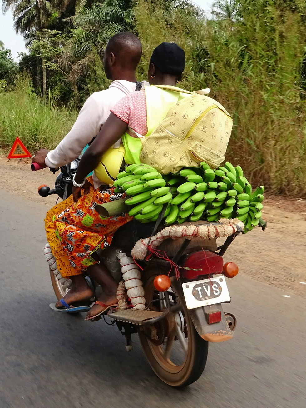 Guinea