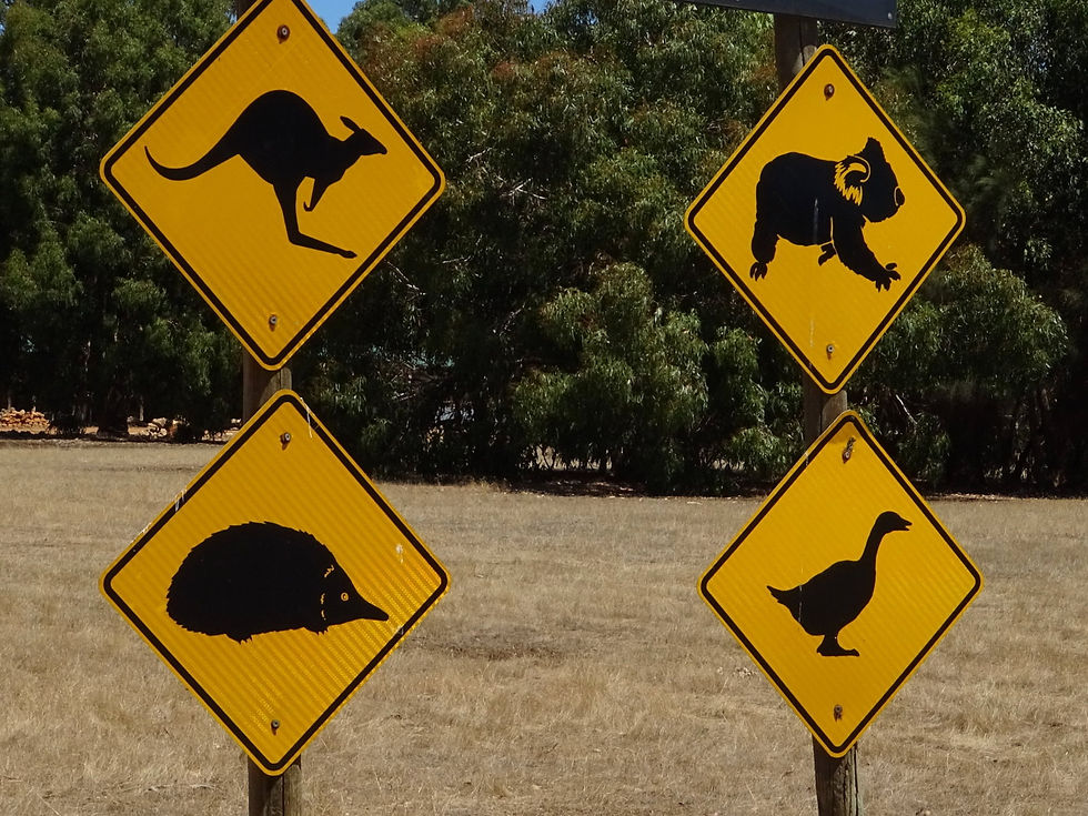 Australia - Kangaroo Island