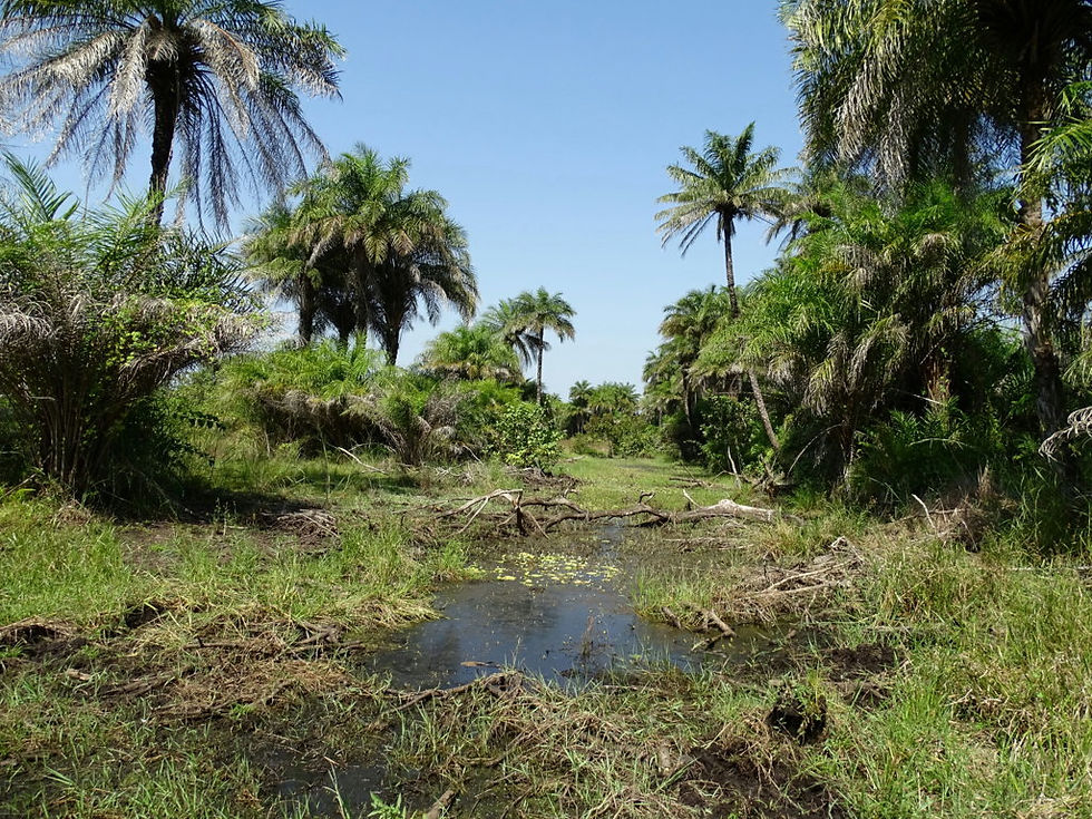 Guinea-Bissau